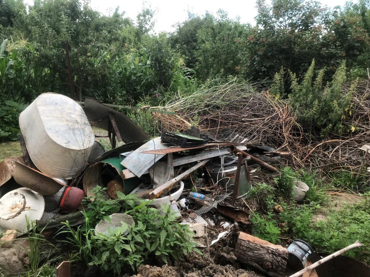 Neglected area cluttered with trash and overgrown wild plants awaiting a garden waste collection