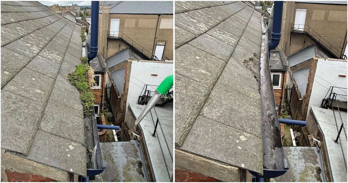 Before and after roof gutter cleaning showing moss and debris removal from a building exterior