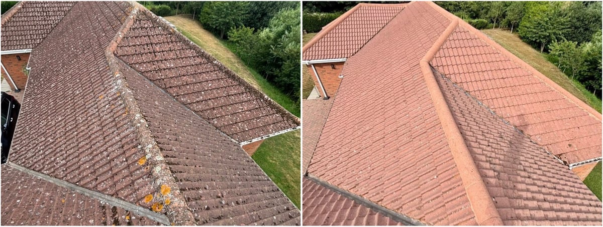 Before and after roof cleaning comparison showing a dark stained roof transformed to a clean reddish-brown shingle roof
